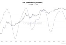 Bitcoin Could Deliver 3-5x Returns This Cycle as Volatility Fades