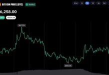 Bitcoin Liquidations Drop Sharply as BTC Price Holds Above $86,000