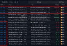 Bitcoin Price at $83,000 Turns a Silk Road-Era Whale’s $70 Into $1.7M