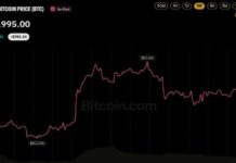 Bitcoin Price Eyes $100K as Fidelity’s Timmer Flips From His ‘Year Off’ Call
