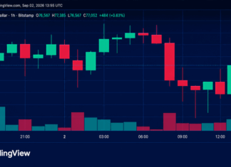 Bitcoin Price Gets Squeezed Below $78K as Bulls Defend the Floor
