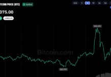 Bitcoin Price Gives Up Gains After Short-Lived Pump to $85.5K