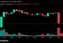 Bitcoin Price Plunges From $82K as $78,000 Becomes the Line