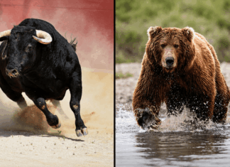 Bitcoin Price Predictions Pit $400K Bulls Against $10K Bears