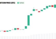 Bitcoin Rally Has ‘Serious Institutional Money’ Behind It, Devere Says