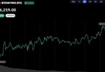 Bitcoin Reclaims $87K as Bull Market Momentum Builds