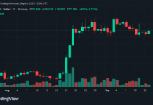 Bitcoin’s Price Refused to Break at $76K, but $79K Won’t Give