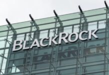 Blackrock Ether Staking ETF Draws $308M Over 20 Days as Assets Top $1B