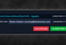 Blockstream Hunts ‘White Hats’ After 4,000 BTC Leaves Liquid