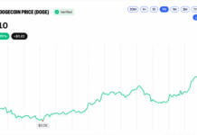 BNB Crosses $800 While DOGE and XRP Log Double-Digit Gains