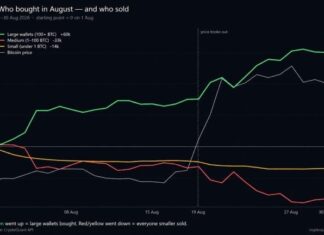 Cryptoquant: Bitcoin Price Rally Hid a 60,000 BTC Whale Buying Spree
