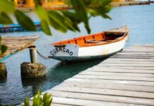 Curacao’s ‘Casino Secrets’ Exposed in Regulatory Leak as Firms Push Back