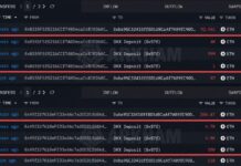 Ethereum Whale From 2021 Moves $37M Worth of ETH to OKX at a Loss