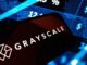Grayscale Lowers ZCSH Share Price With 3-for-1 Split for Zcash ETF