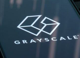 Grayscale Sees Crypto Opportunity as Stock Concentration Soars