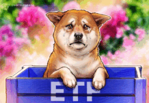 Bitwise to put down Dogecoin ETF less than a year after launch