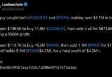 How CASHCAT and PONS Turned $220K Into $4.7M on Robinhood Chain