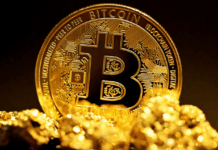 Institutions See Bitcoin Like Gold but Invest in It Like Tech: Bitwise