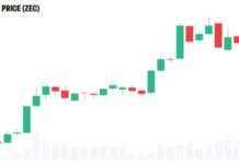 Privacy Coins Outrun Bitcoin as Market Rotates Into Zcash and Monero