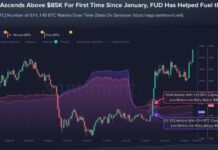 Smaller Bitcoin Holders Sold Before $85K Rally as 69,494 Wallets Exit