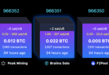 Solo Bitcoin Miner Hits $244K Jackpot After Nearly 40-Day Drought