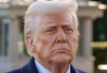 Trump’s $5,000 Stimulus Could Send Bitcoin Higher, Pompliano Says