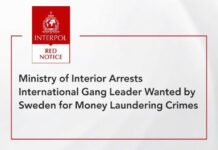 UAE and Sweden Dismantle $7M Crypto Gang Tied to Contract Hits