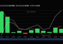 XRP ETFs Pull in $121M This Month but Their Assets Keep Shrinking