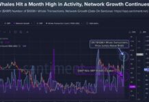 XRP Tops $1.60 as 1,917 Whale Transactions Hit Monthly High