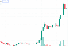 Zcash Surges 2,496% as Privacy Sector Leaves Crypto Rivals Behind