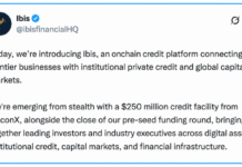 $250M FalconX Facility Powers Ibis Push Into Onchain Credit