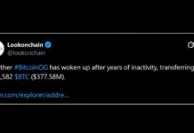 A $377M Bitcoin Whale Wakes up While Another Dumps BTC for Ether