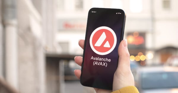 AVAX Price Prediction: Support Zone Holds at $8