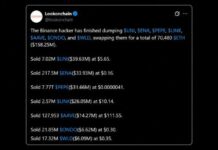 Binance Hacker Dumps $158M in Alts as Sleuths Question Exchange’s Key Story