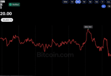 Bitcoin Price Hovers Near $81K as Analysts See Potential Market Bottom