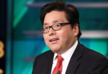 Bitcoin Price Slips Under $84K as Tom Lee Eyes Biggest Bull Market Ever