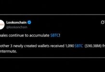 Bitcoin Worth $90 Million Pulled From Wintermute by a Mystery Whale
