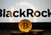 Blackrock Drives Entire $110 Million Bitcoin ETF Inflow