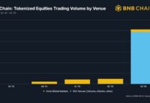 BNB Chain Tops Solana, Robinhood as Equity Volume Jumps 11x to $25.6B