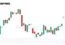 Evernorth Seeks to Register 5.2M Shares as It Plans More XRP Purchases