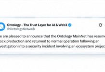 Ontology Halts L1 Blockchain for 41 Hours Over an Unknown Threat