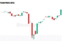 Peter Schiff Warns Bitcoin Could Hit $75K After BTC Fell Below $80K