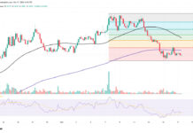 RAY Price Slides 23% While Raydium Pockets Its Best Fees in a Year
