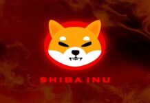 SHIB Price Prediction: Two Price Thresholds Define Which Way the Next Move Goes