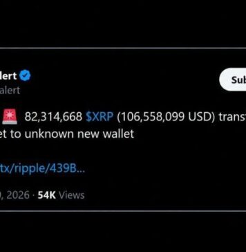 XRP Whale That Stacked Above $2 Just Moved 82 Million Tokens