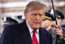 Young Crypto Voters Slam Trump Token Sales as Greedy Cash Grabs