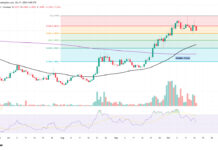 ZRO Price Faces Its Biggest Test Since the 250% Rally Began